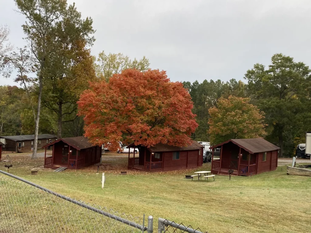 Rustic cabins under fall color at Cobble Hill RV Campground