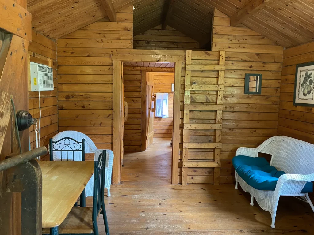 Rustic cabin living area with ladder to the sleeping loft